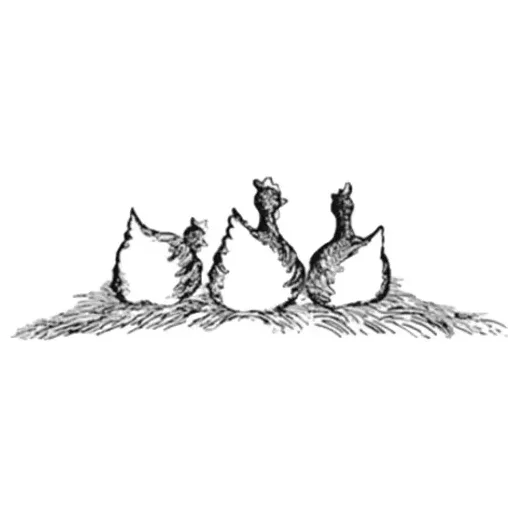 motherplucker brand logo for motherplucker.com