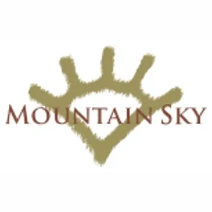 mountainsky brand logo for mountainsky.com
