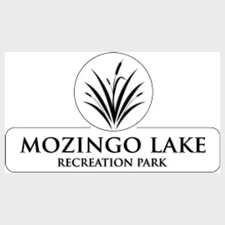 mozingolake brand logo for mozingolake.com