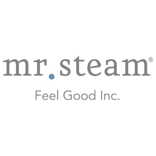 mrsteam brand logo for mrsteam.com