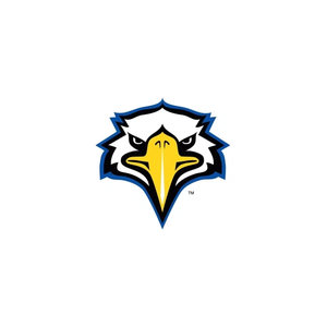 msueagles brand logo for msueagles.com