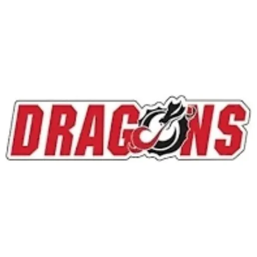 msumdragons brand logo for msumdragons.com