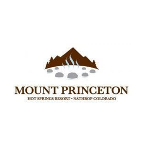 mtprinceton brand logo for mtprinceton.com