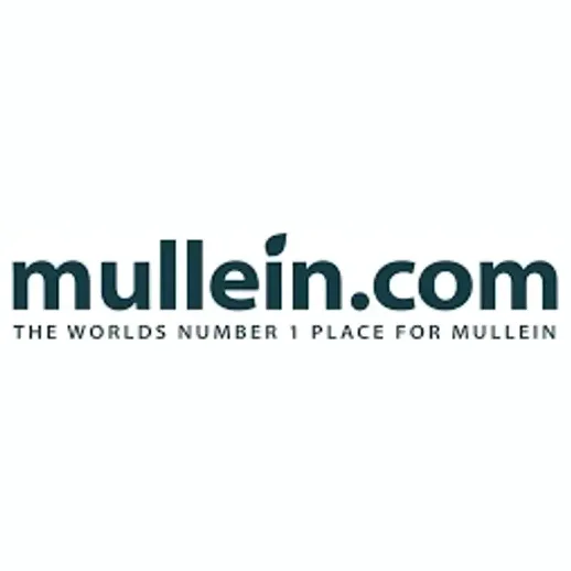 mullein brand logo for mullein.com