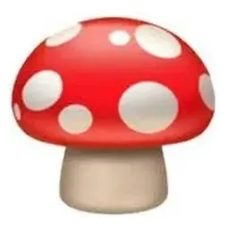 mushrooms brand logo for mushrooms.finance