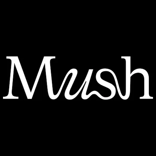 mushstudios brand logo for mushstudios.co