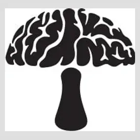 myclwellness brand logo for myclwellness.com