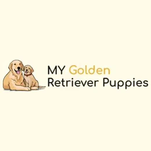 mygoldenretrieverpuppies brand logo for mygoldenretrieverpuppies.com