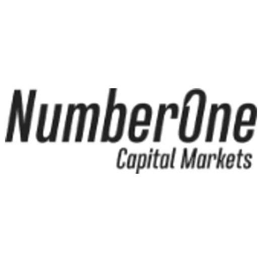 n1cm brand logo for n1cm.com