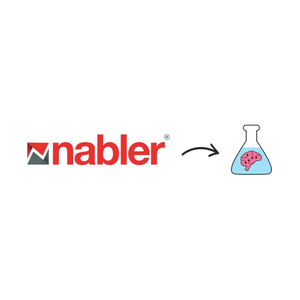 nabler brand logo for nabler.com
