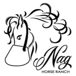 naghorseranch brand logo for naghorseranch.com