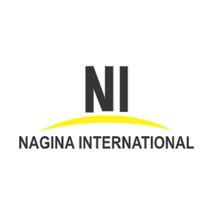 nagina-in brand logo for nagina-in.com