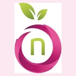 namefruits brand logo for namefruits.com