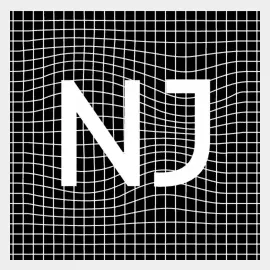 namejenny brand logo for namejenny.com