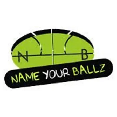 nameyourballz brand logo for nameyourballz.net