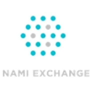 nami.exchange/en brand logo for nami.exchange