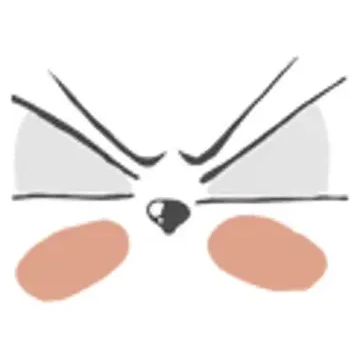 nandotshirt brand logo for nandotshirt.com