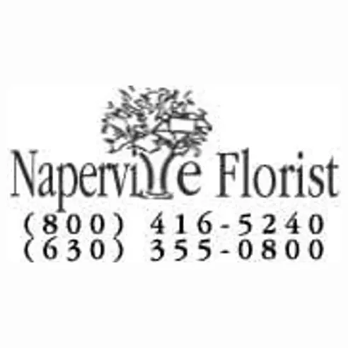 napervilleflorist brand logo for napervilleflorist.com