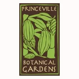 National Tropical Botanical Garden brand logo for kauaibotanicalgardens.com