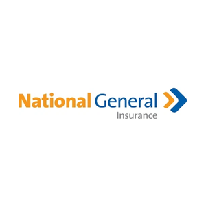 nationalgeneral brand logo for nationalgeneral.com