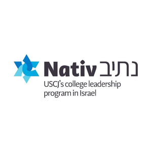 nativ brand logo for nativ.org