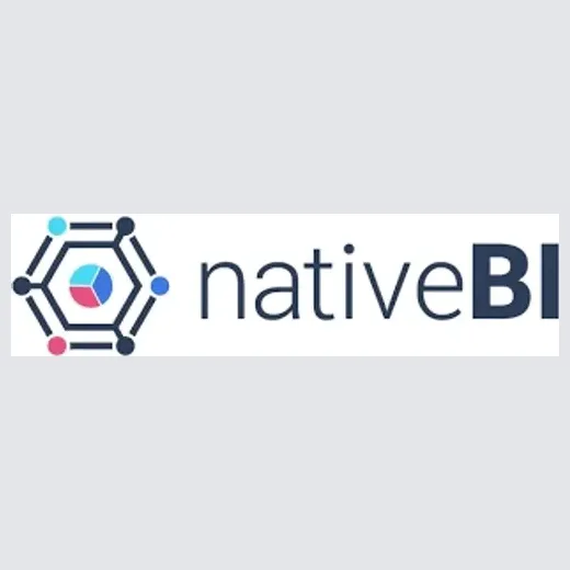 nativebi brand logo for nativebi.com