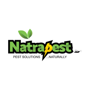 natrapest brand logo for natrapest.com