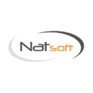 natsoft brand logo for natsoft.us