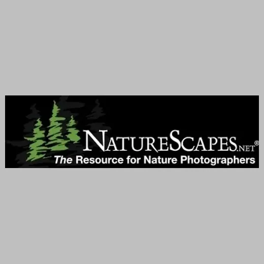 naturescapes brand logo for naturescapes.net