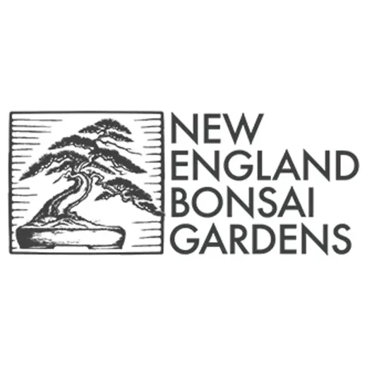 nebonsai brand logo for nebonsai.com