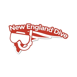 nedive brand logo for nedive.com