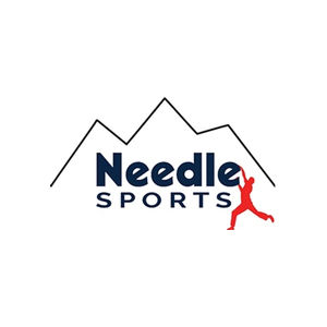 needlesports brand logo for needlesports.com
