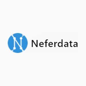 Neferdata brand logo for website.neferdata.com