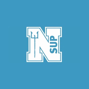 neptunesups brand logo for neptunesups.com