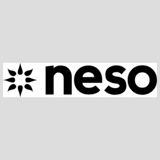neso brand logo for neso.com