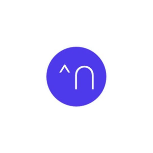 netomi brand logo for netomi.com
