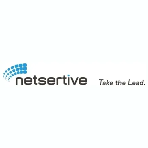 netsertive brand logo for netsertive.com