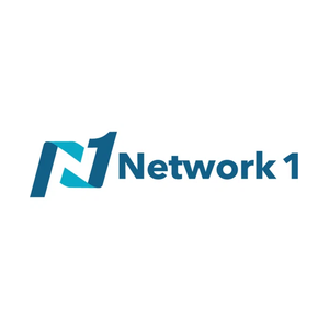 network1consulting brand logo for network1consulting.com