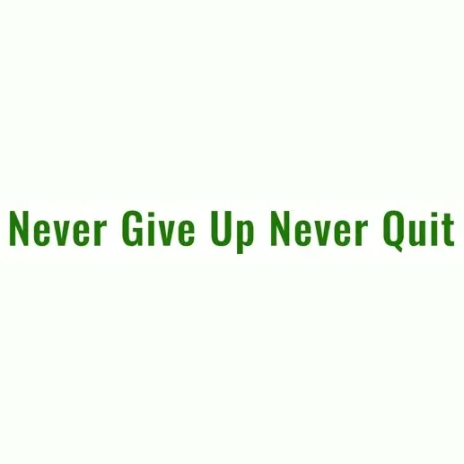 nevergiveupneverquit brand logo for nevergiveupneverquit.org