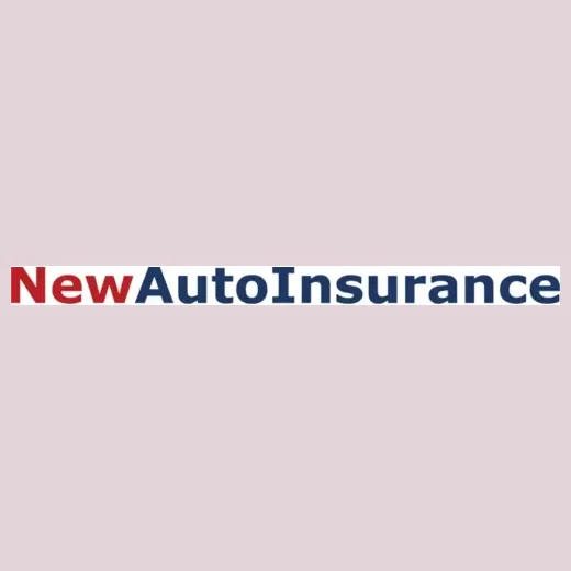newautoinsurance brand logo for newautoinsurance.com