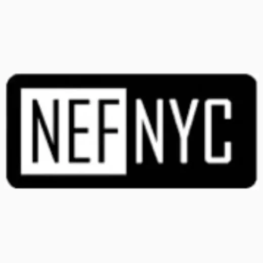 neweditionfashion brand logo for neweditionfashion.com