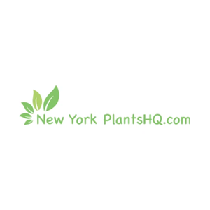 newyorkplantshq brand logo for newyorkplantshq.com