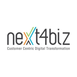next4biz brand logo for next4biz.com