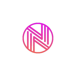 nextype brand logo for nextype.finance