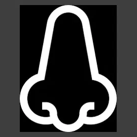 nftsniff brand logo for nftsniff.com