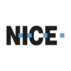 nice brand logo for nice.com