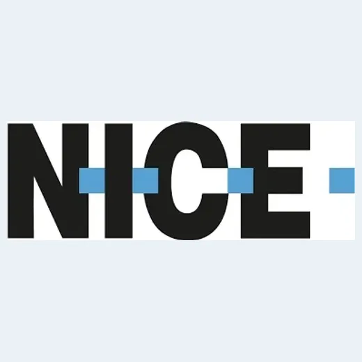 nice-team brand logo for nice-team.net