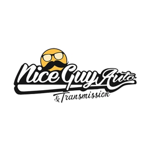 niceguyauto brand logo for niceguyauto.com