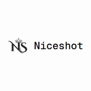 niceshot brand logo for niceshot.fun