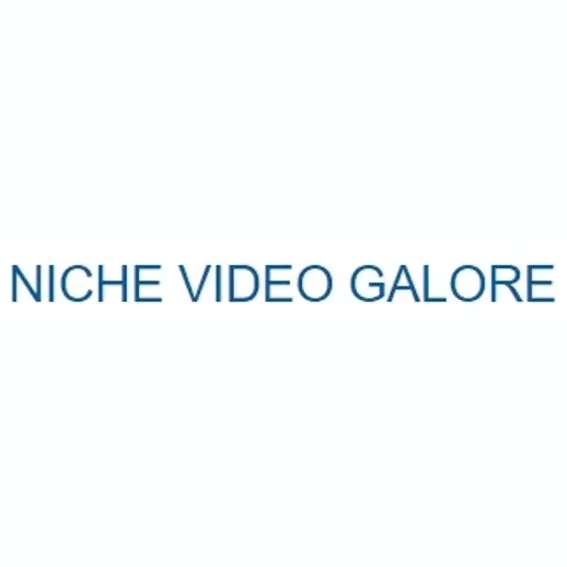 nichevideogalore brand logo for nichevideogalore.com